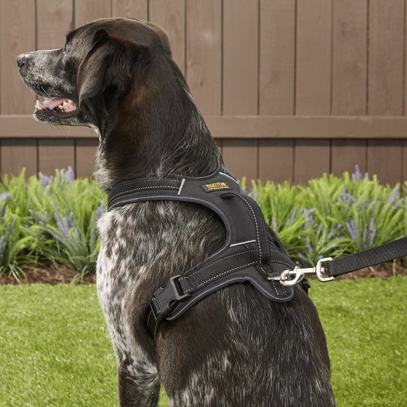 Mighty Paw Padded Sports Reflective No Pull Dog Harness - Picture 4 of 5